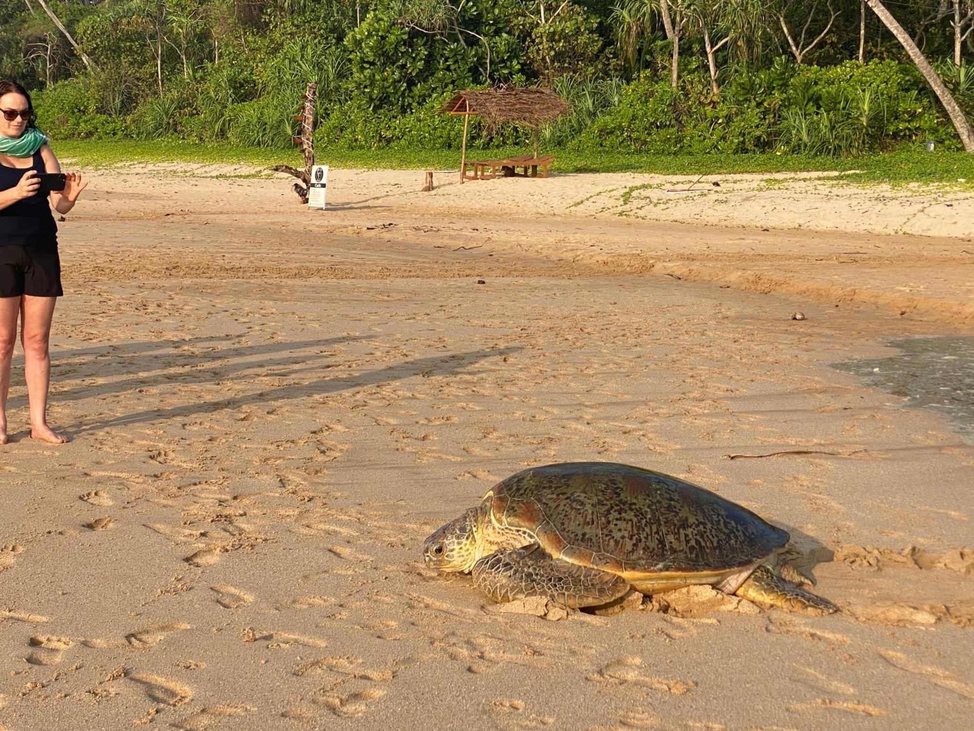 Talalla Bay Beach Zewnętrze zdjęcie
