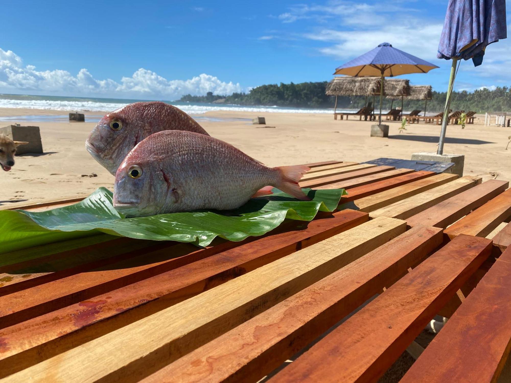 Talalla Bay Beach Zewnętrze zdjęcie