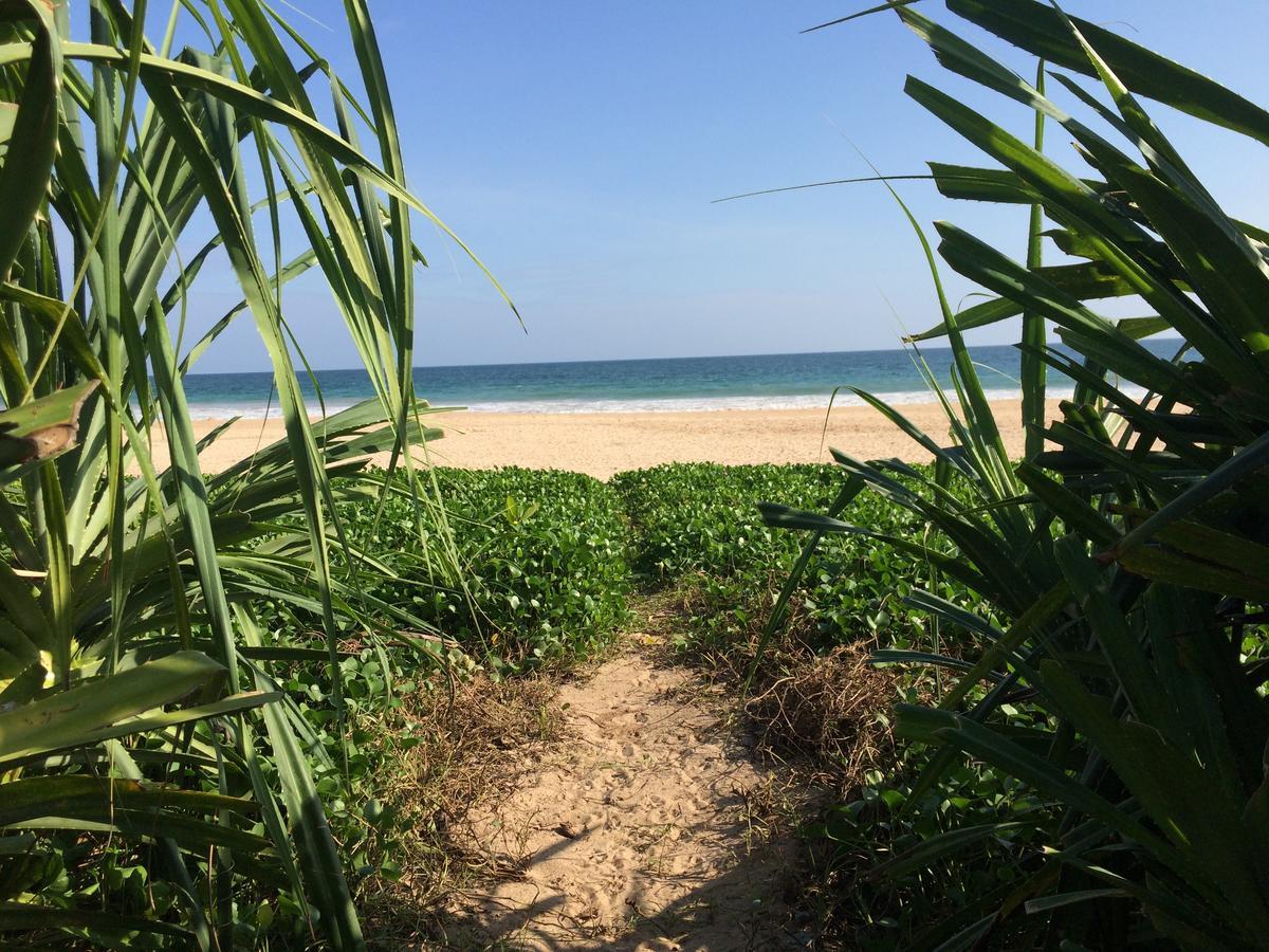 Talalla Bay Beach Zewnętrze zdjęcie